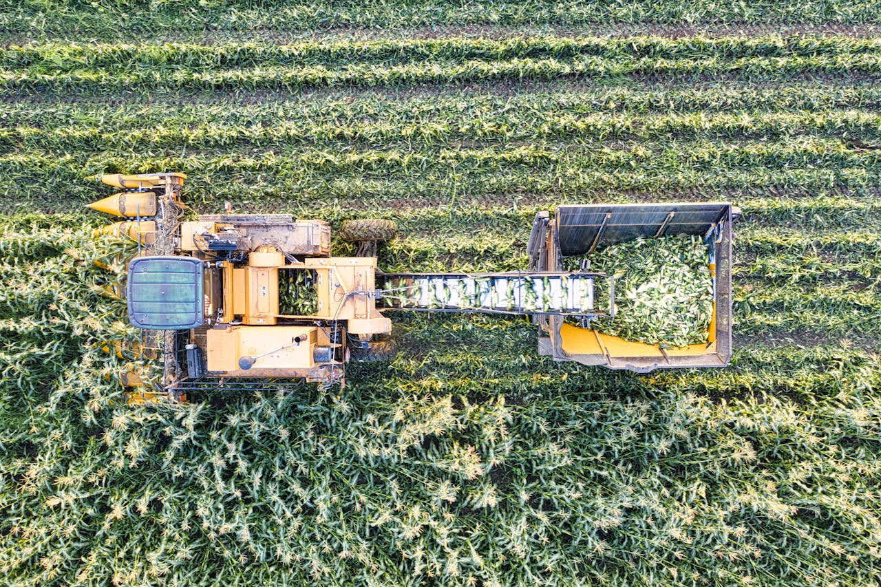 Aerial shot of a harvest machine collecting corn in a Minnesota farmland.