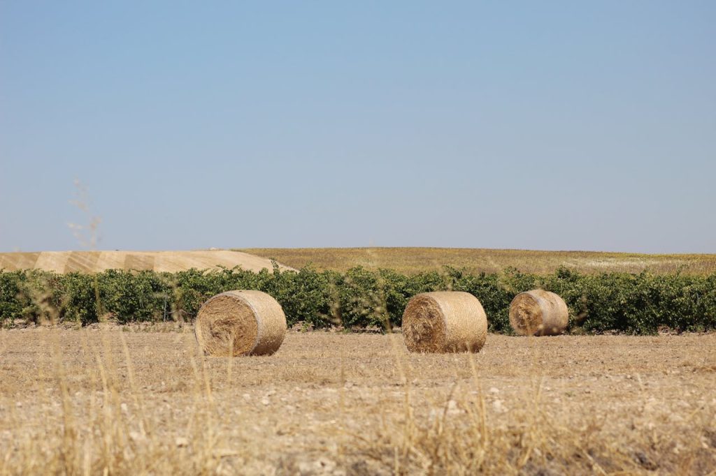 Scenic countryside farmland with hay bales in Valladolid, Spain under clear blue skies.