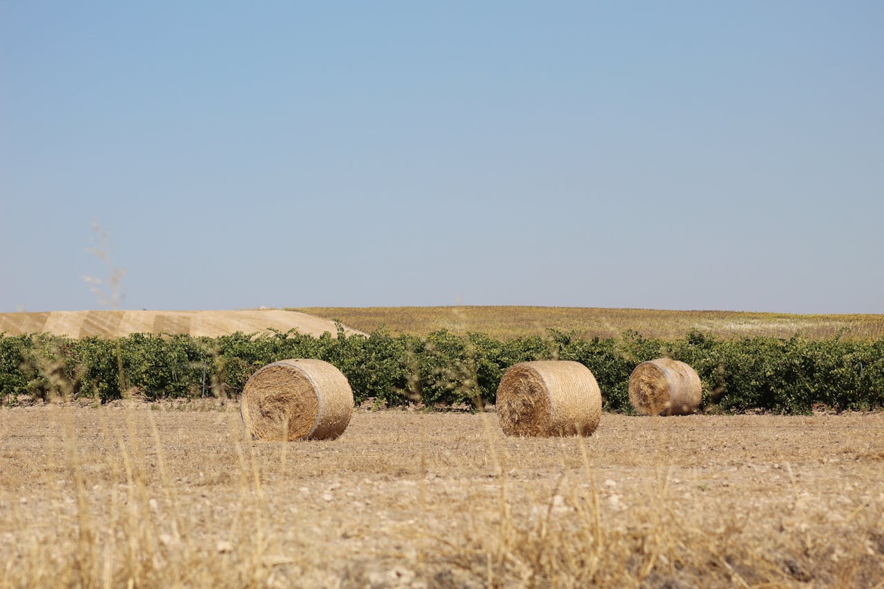 Scenic countryside farmland with hay bales in Valladolid, Spain under clear blue skies.
